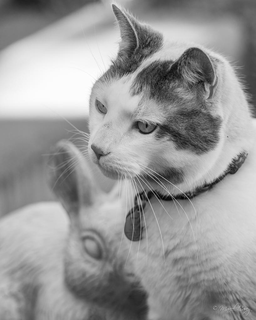 DSC_5426.jpg