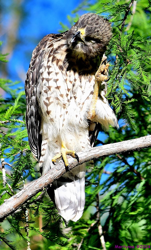 DSC_5426_001.JPG