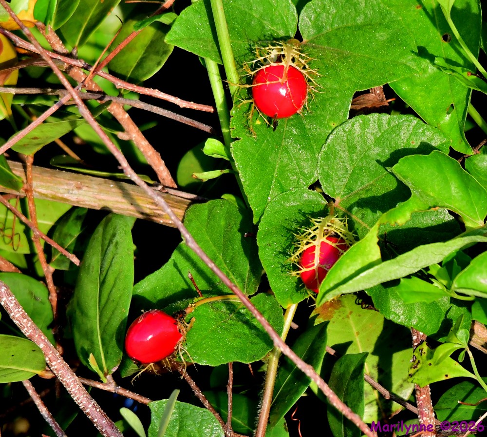 DSC_5428_001.JPG