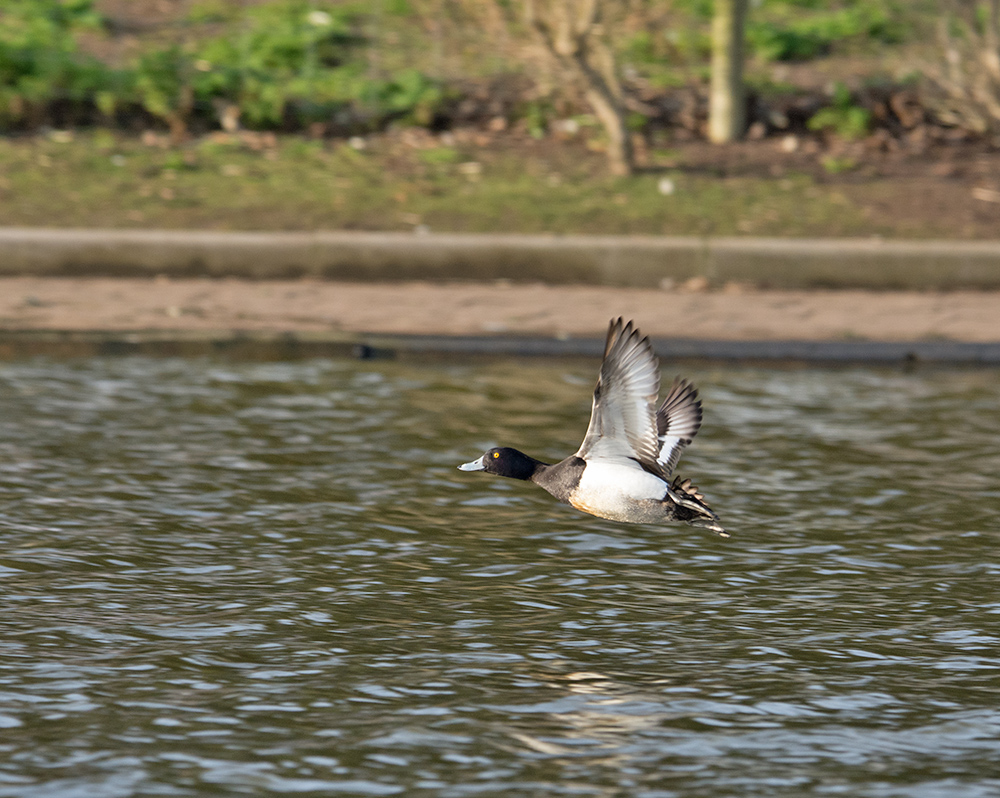 DSC_5429.jpg
