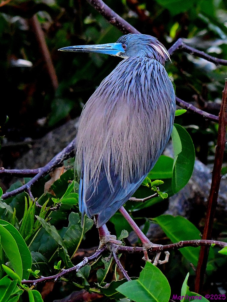 DSC_5429_001.JPG