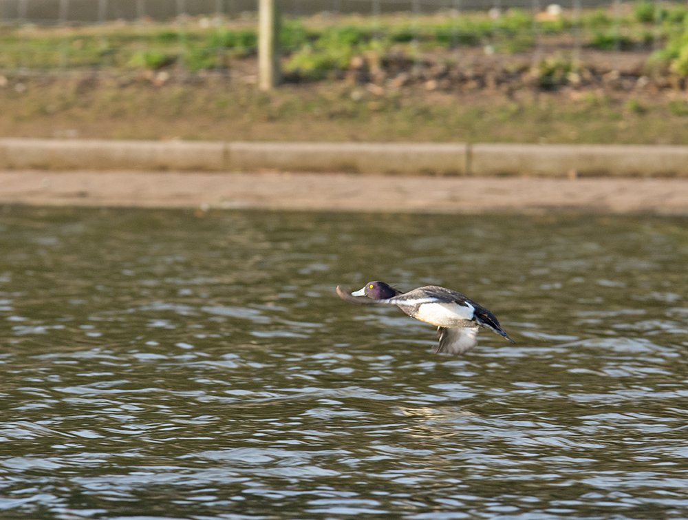 DSC_5430.jpg