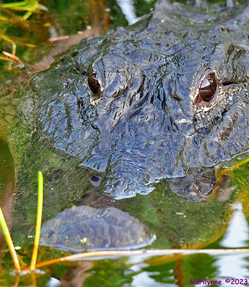 DSC_5430_001.JPG