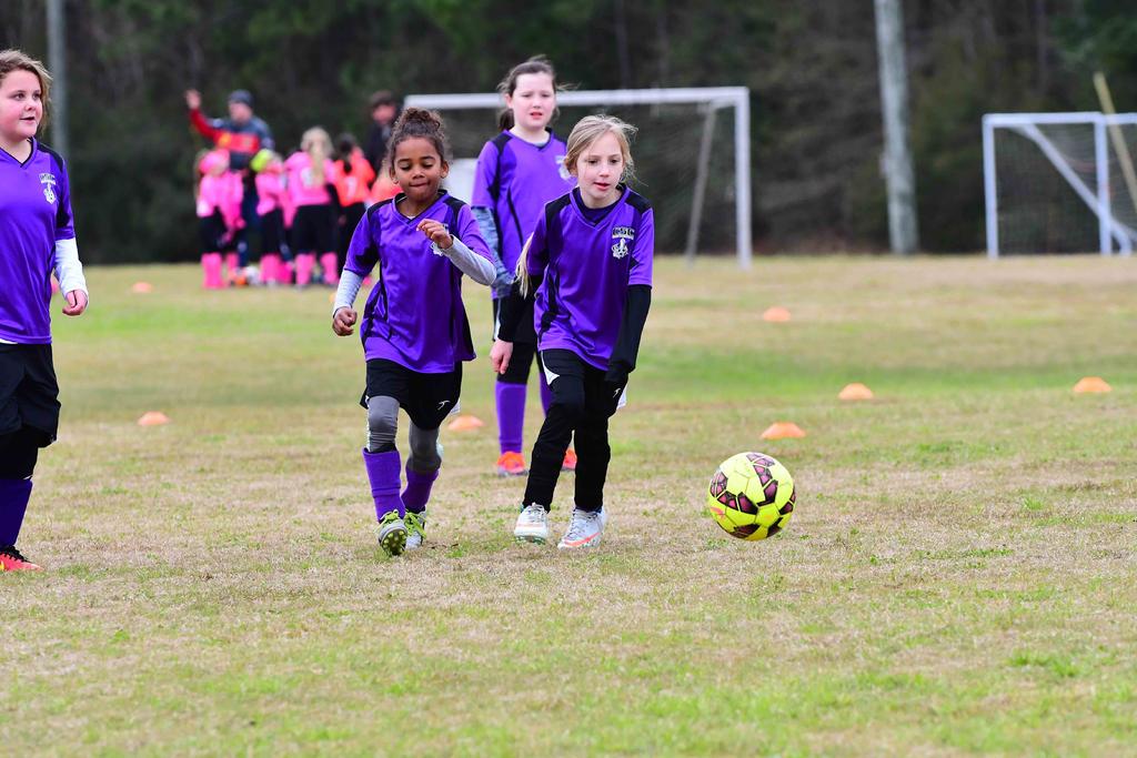 DSC_5431.jpg DSC_5431.jpg