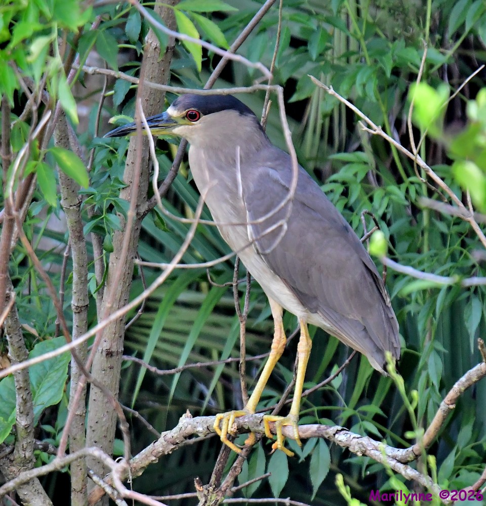 DSC_5433_001.JPG