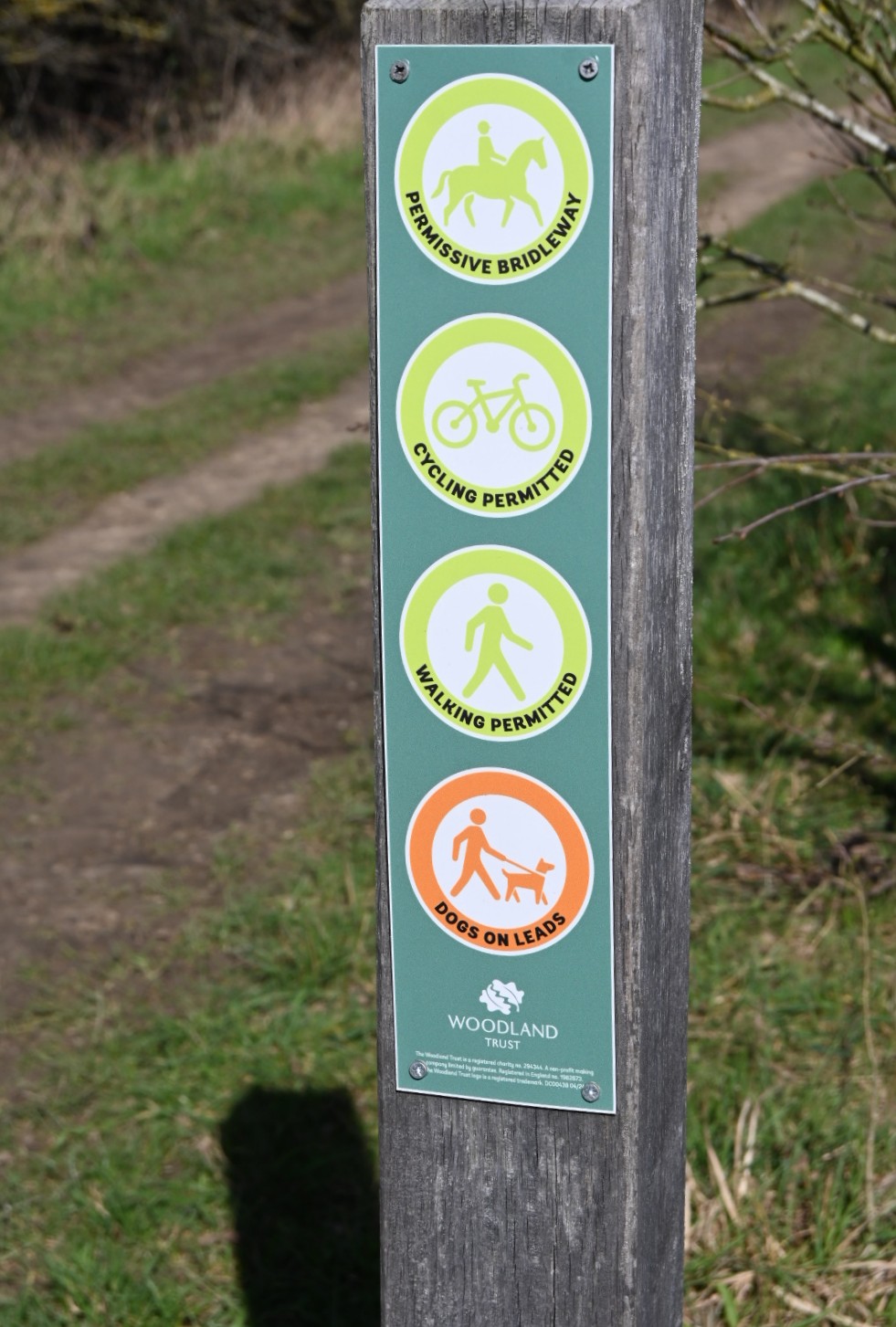 DSC_5435.JPG