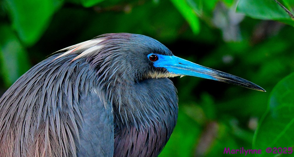 DSC_5435_001.JPG