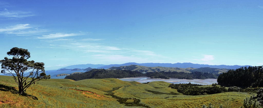 DSC_5435_stitch.jpg