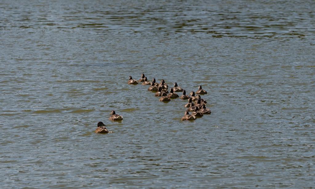 DSC_5436.jpg