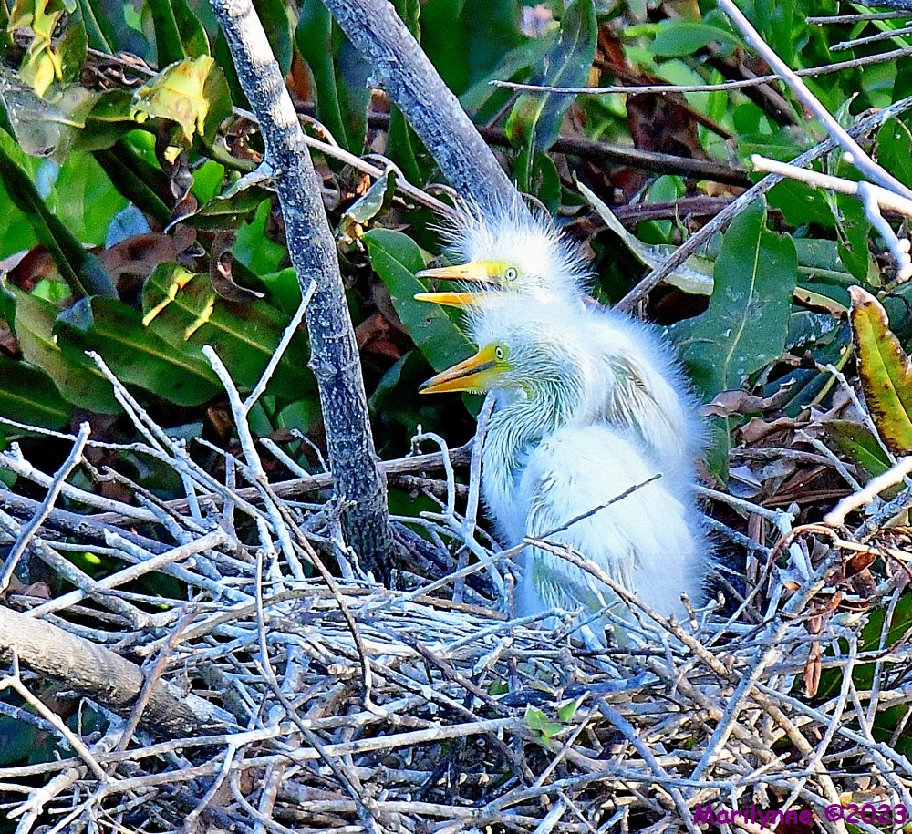 DSC_5436_001.JPG