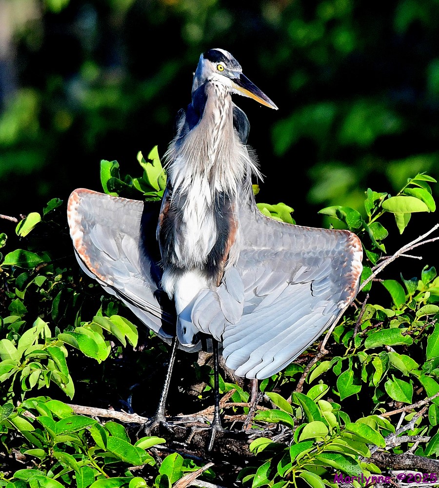 DSC_5436_001.JPG