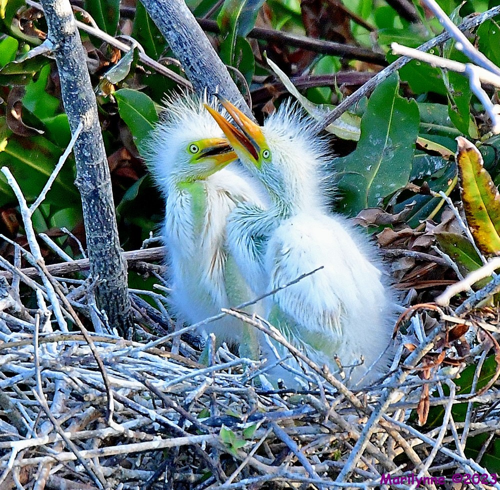 DSC_5438_001.JPG