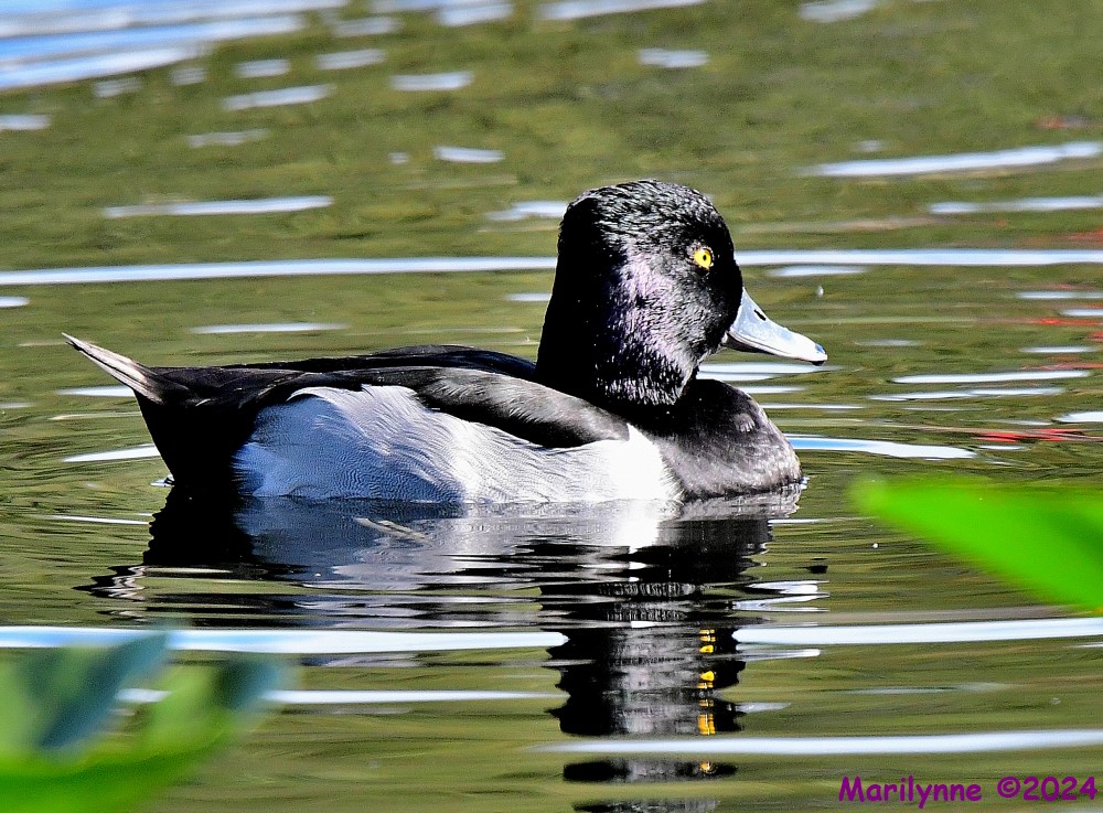 DSC_5440_001.JPG