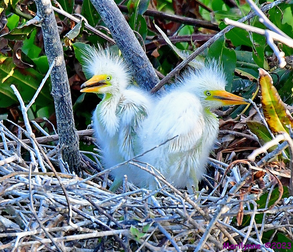 DSC_5441_001.JPG