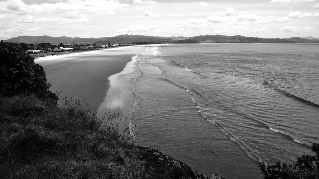 DSC_5444 B@W.jpg