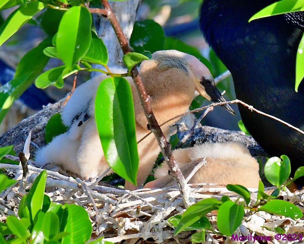 DSC_5444_001.JPG