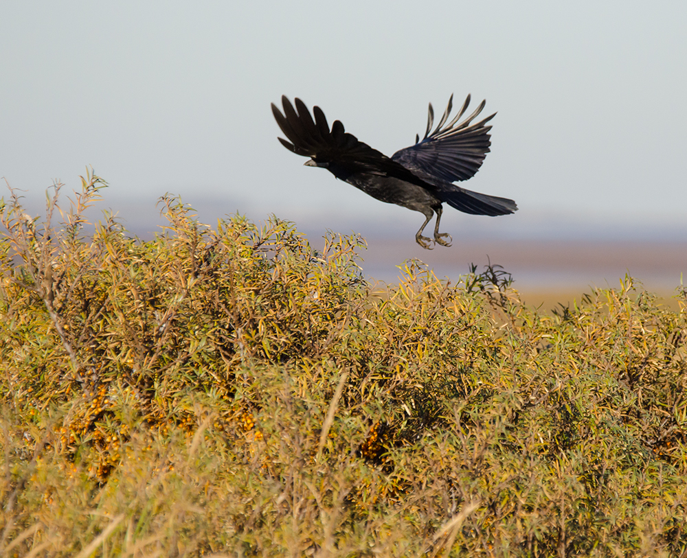 DSC_5446.jpg