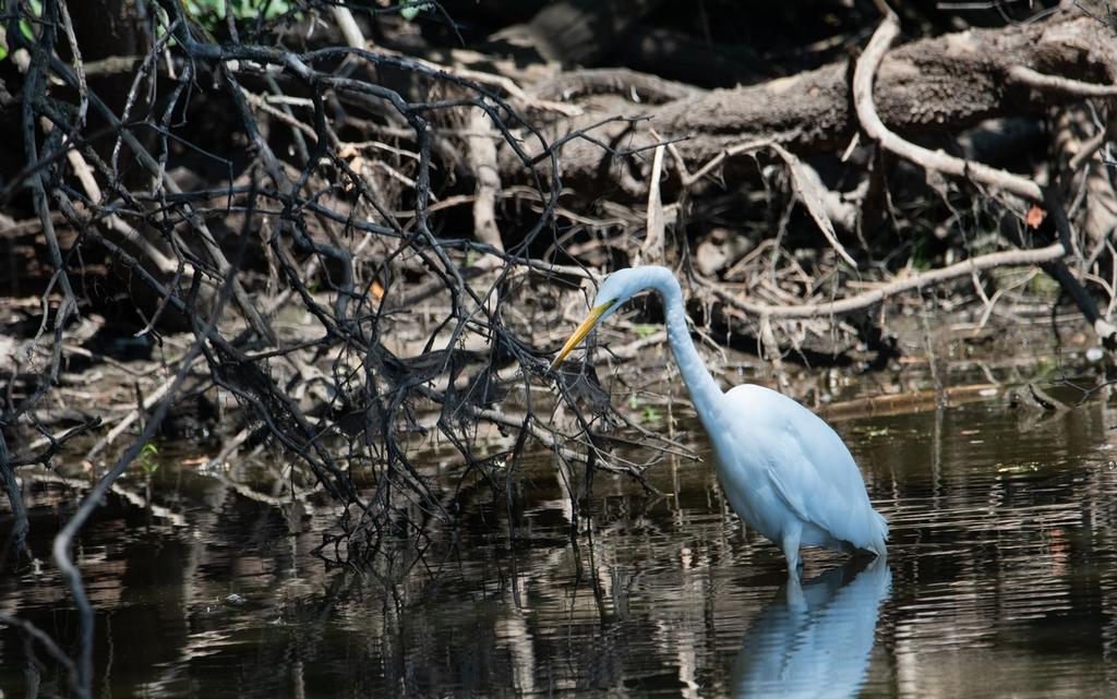 DSC_5449.jpg