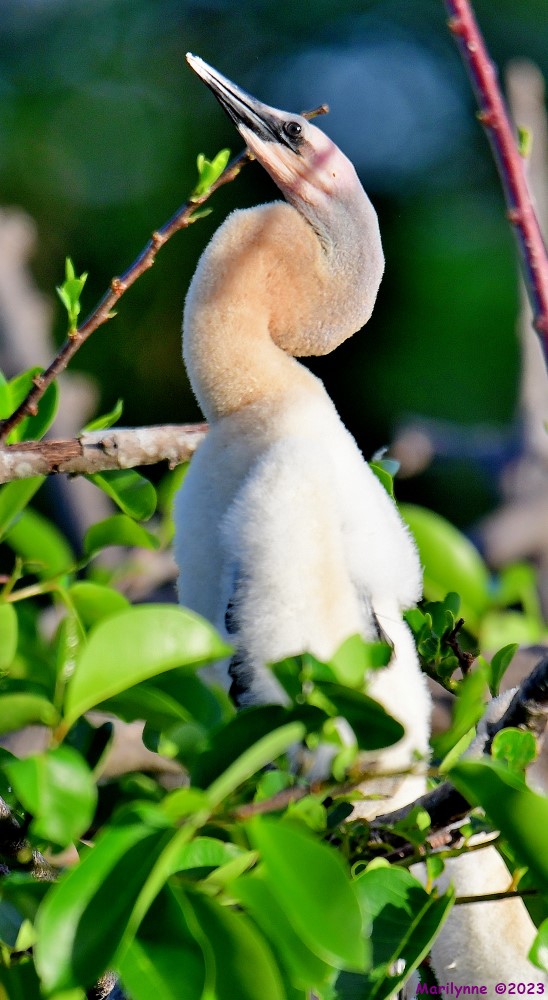 DSC_5449_001.JPG