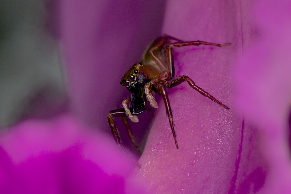 DSC_5456.jpg