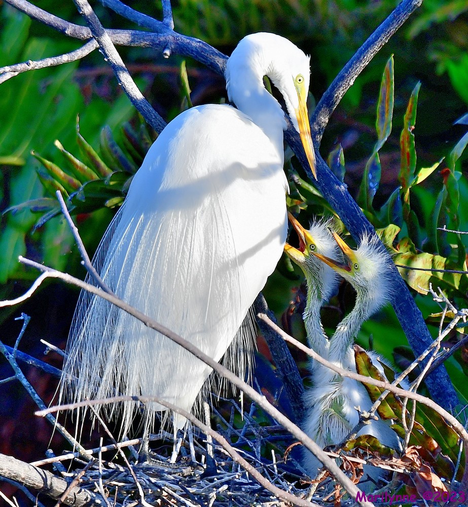 DSC_5456_001.JPG