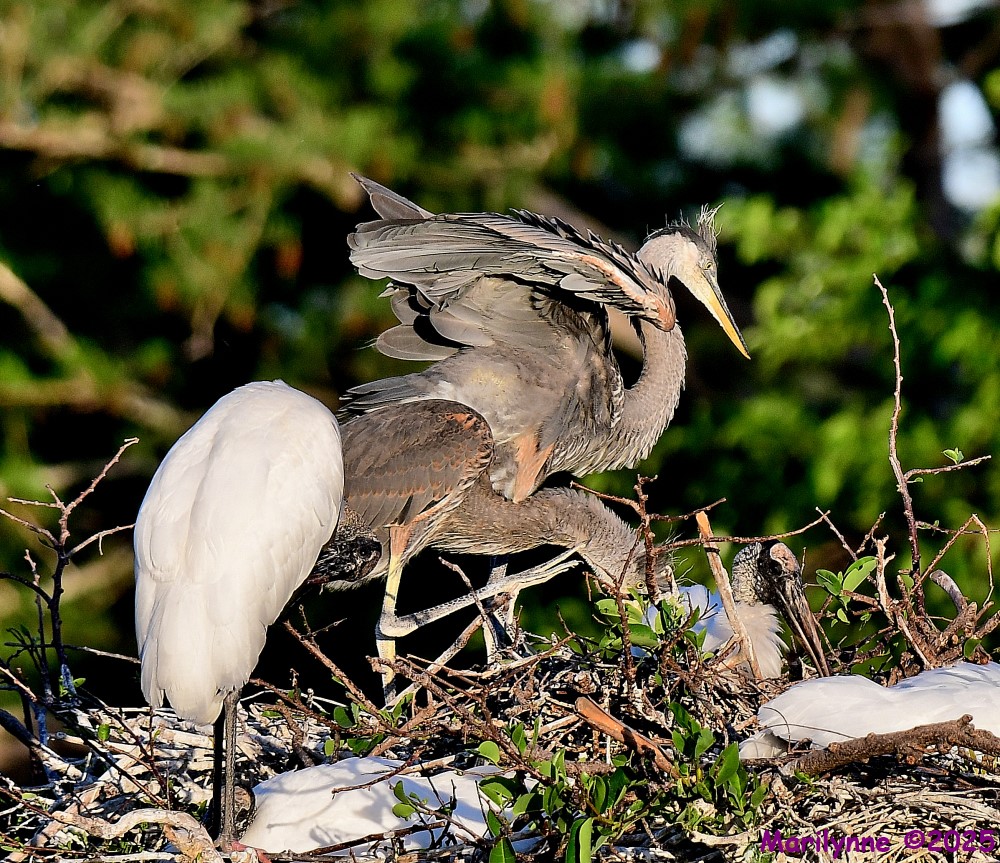 DSC_5456_001.JPG