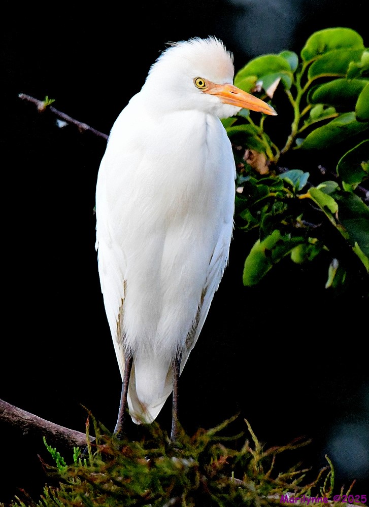 DSC_5456_001.JPG
