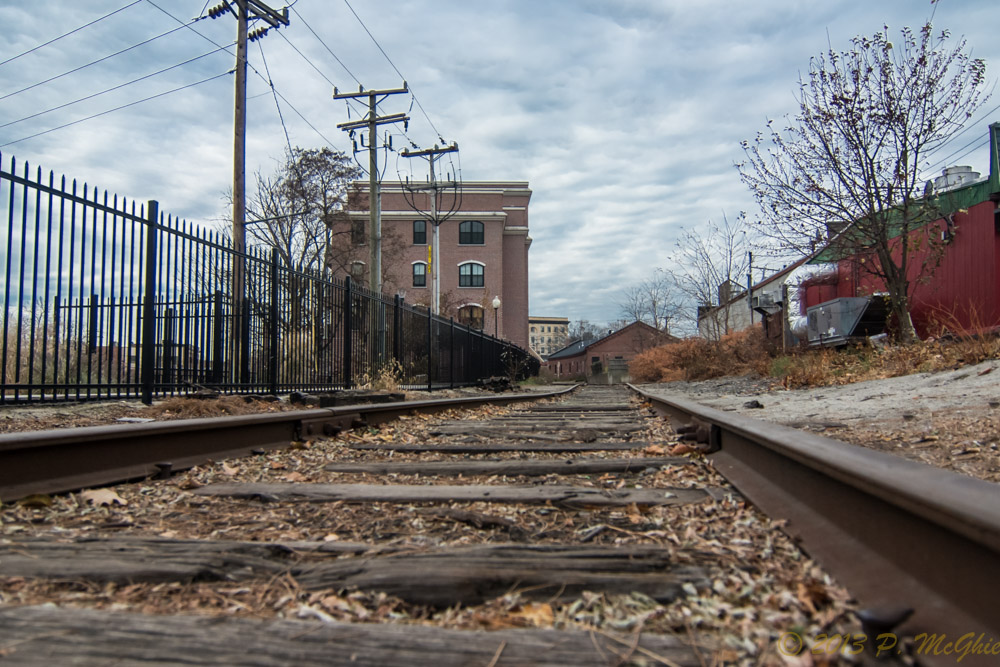 DSC_5459-Edit.jpg