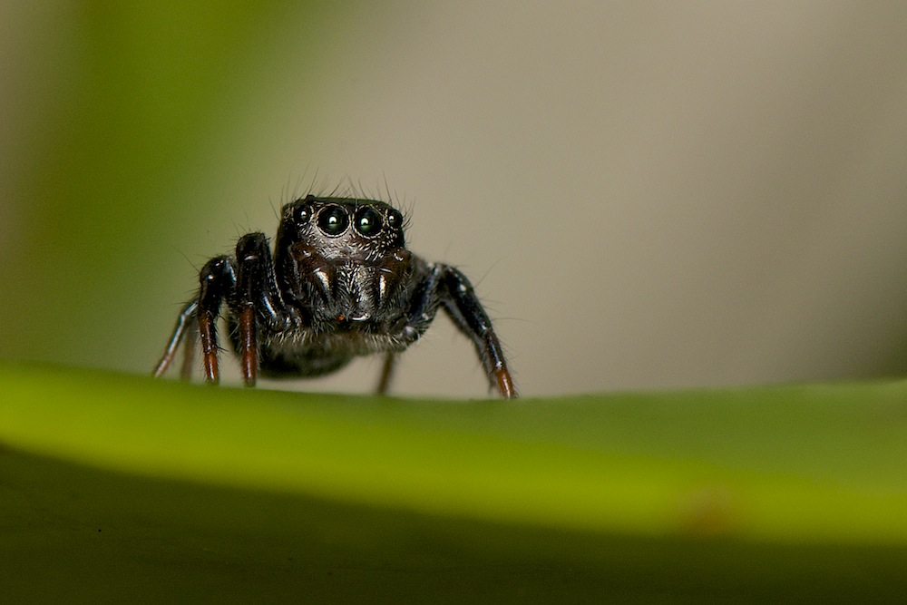 DSC_5460.jpg
