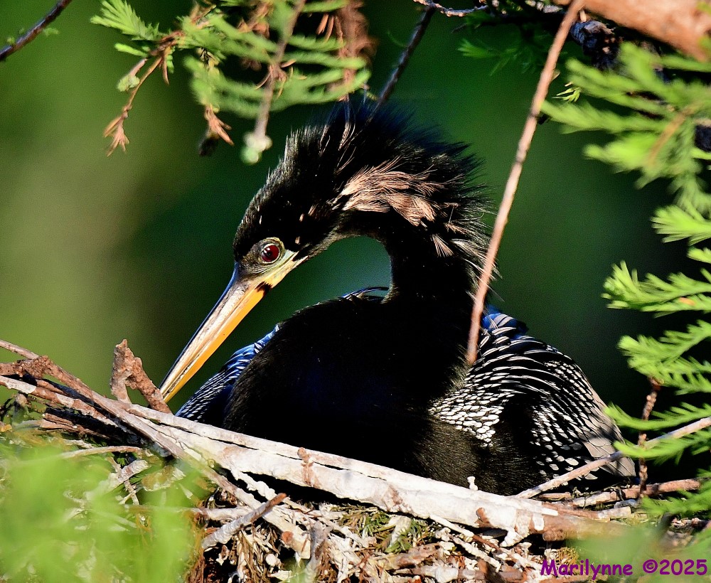 DSC_5462_001.JPG