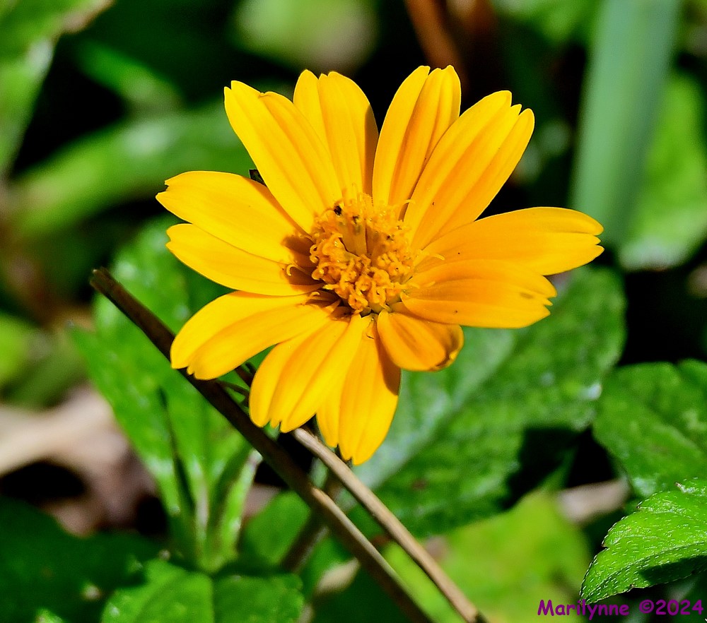 DSC_5464_001.JPG
