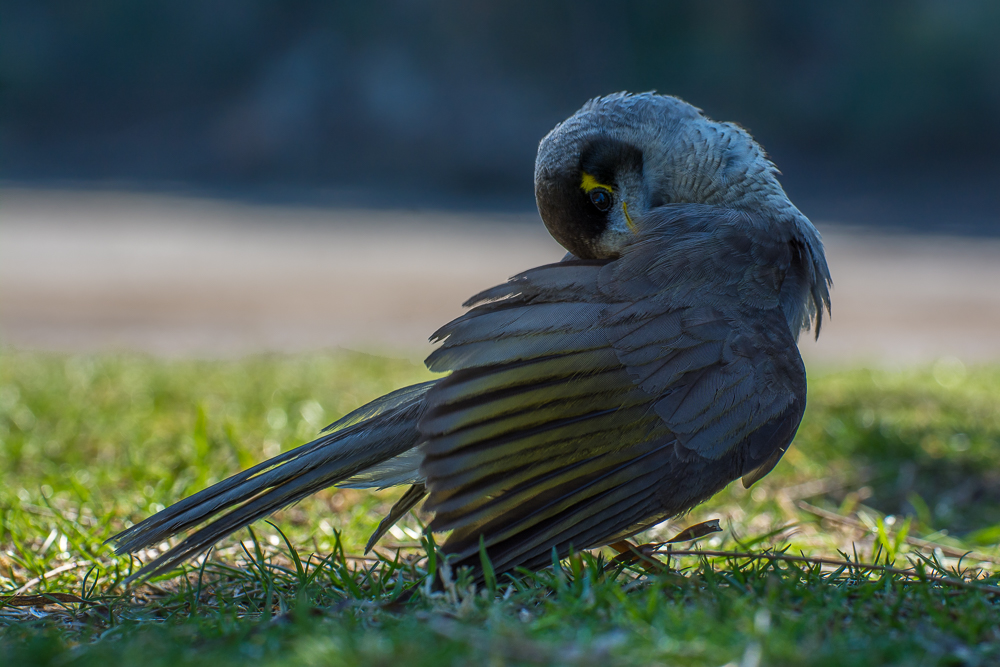 DSC_5465.jpg