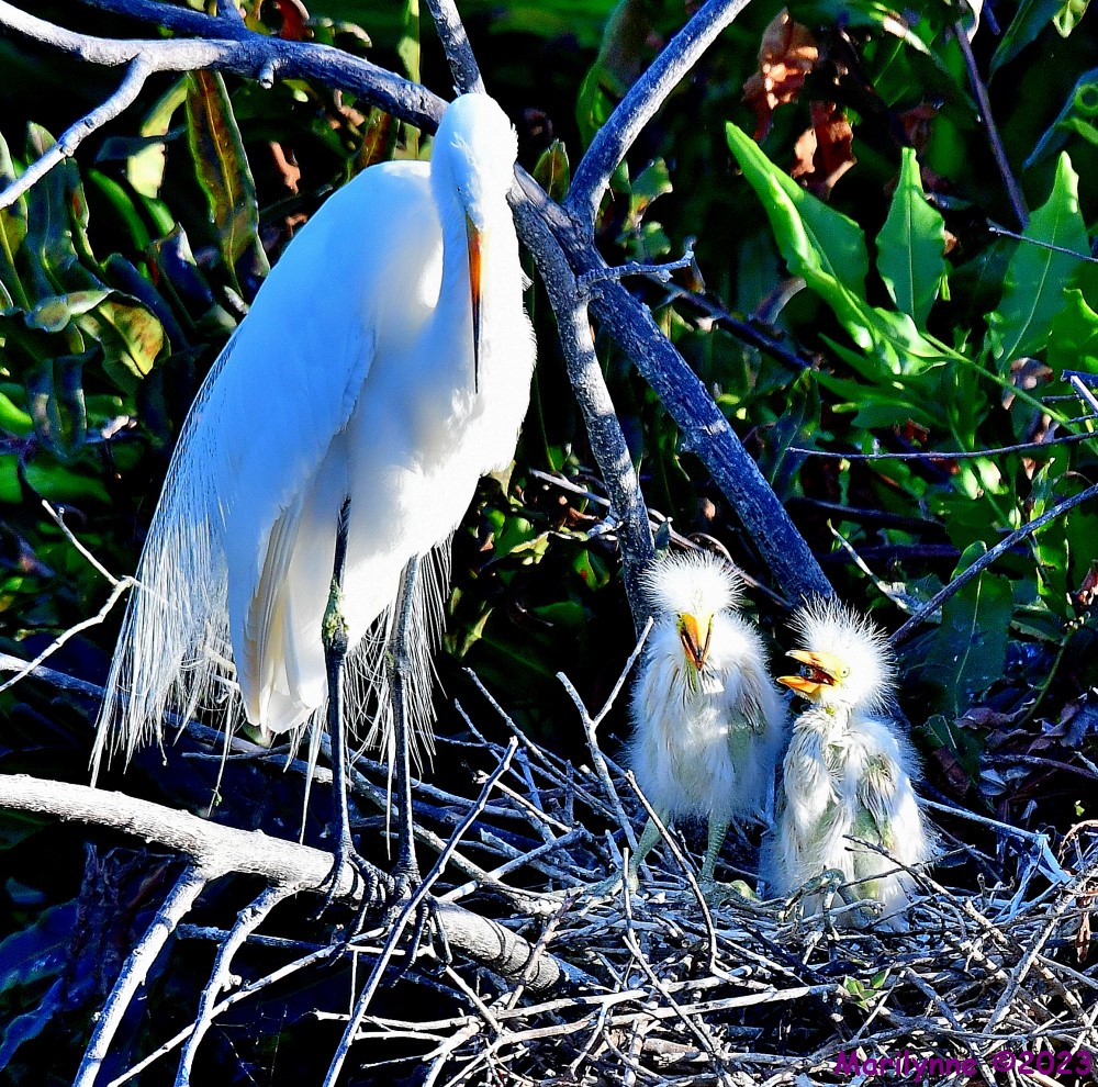 DSC_5468_001.JPG