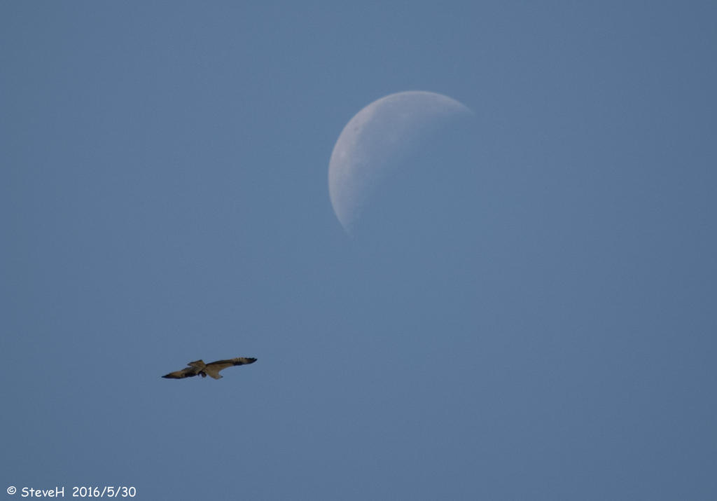DSC_5470.jpg