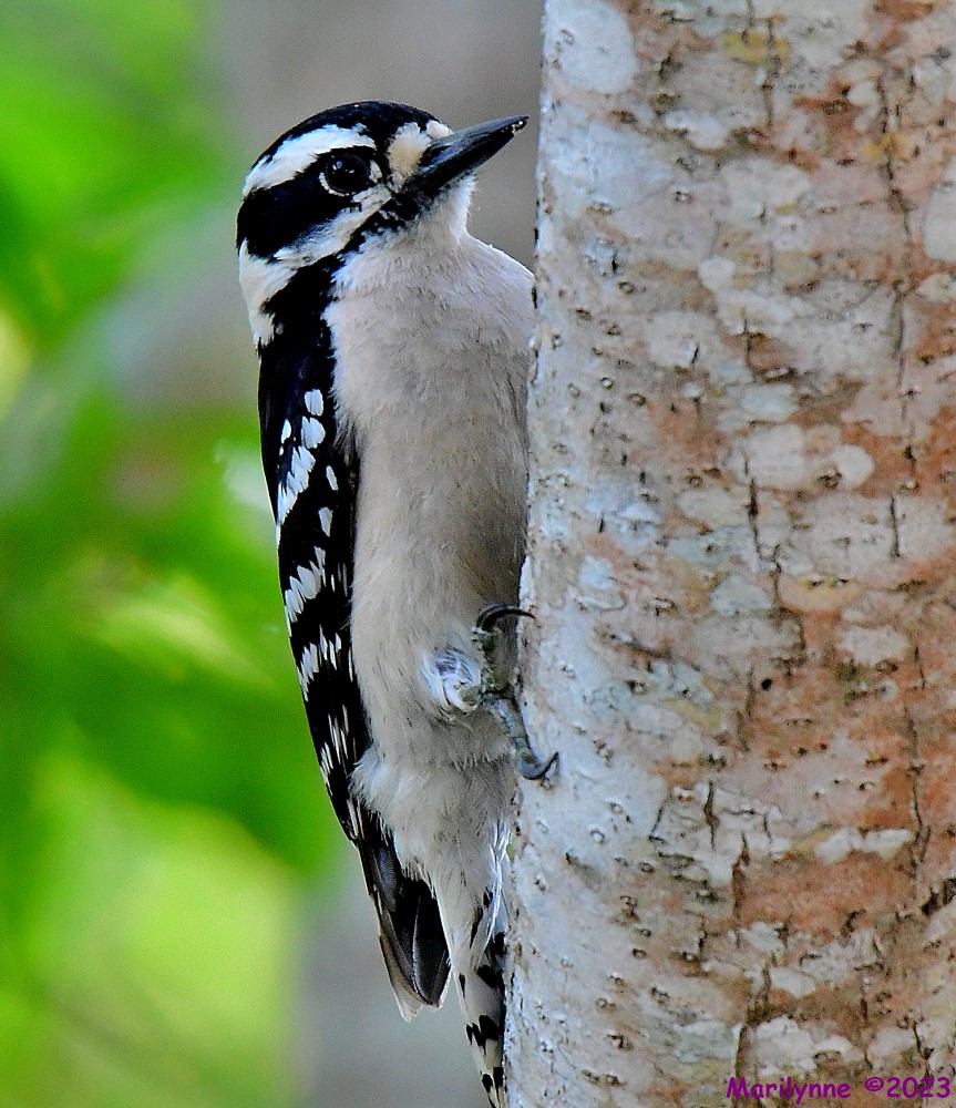 DSC_5476_001.JPG