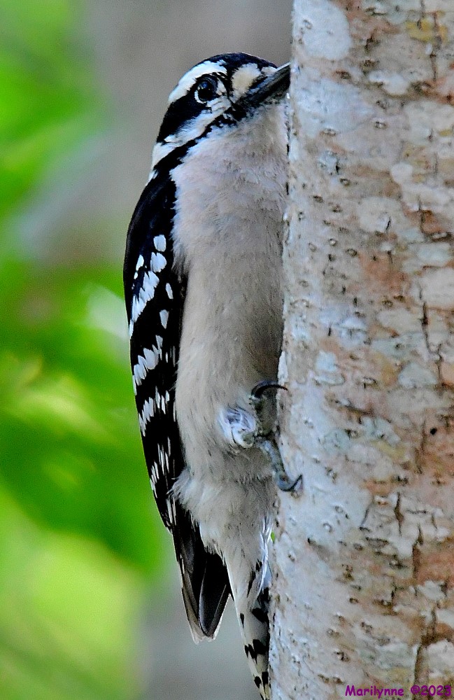 DSC_5478_001.JPG