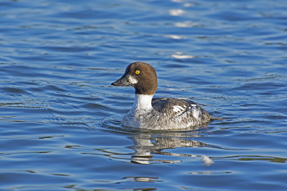 DSC_5481.jpg