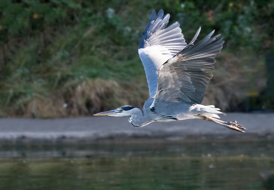 DSC_5486.jpg