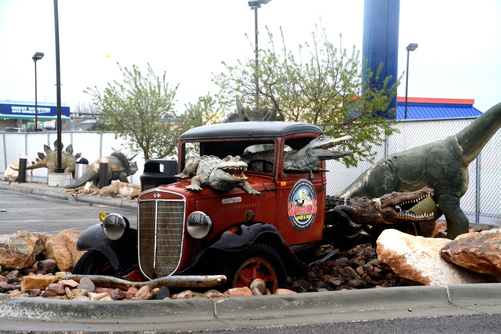 DSC_5489.JPG