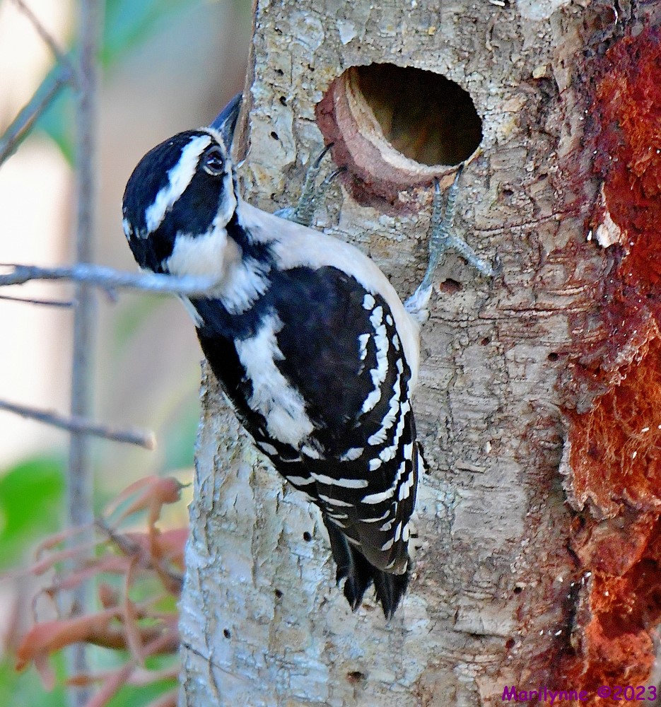 DSC_5489_001.JPG