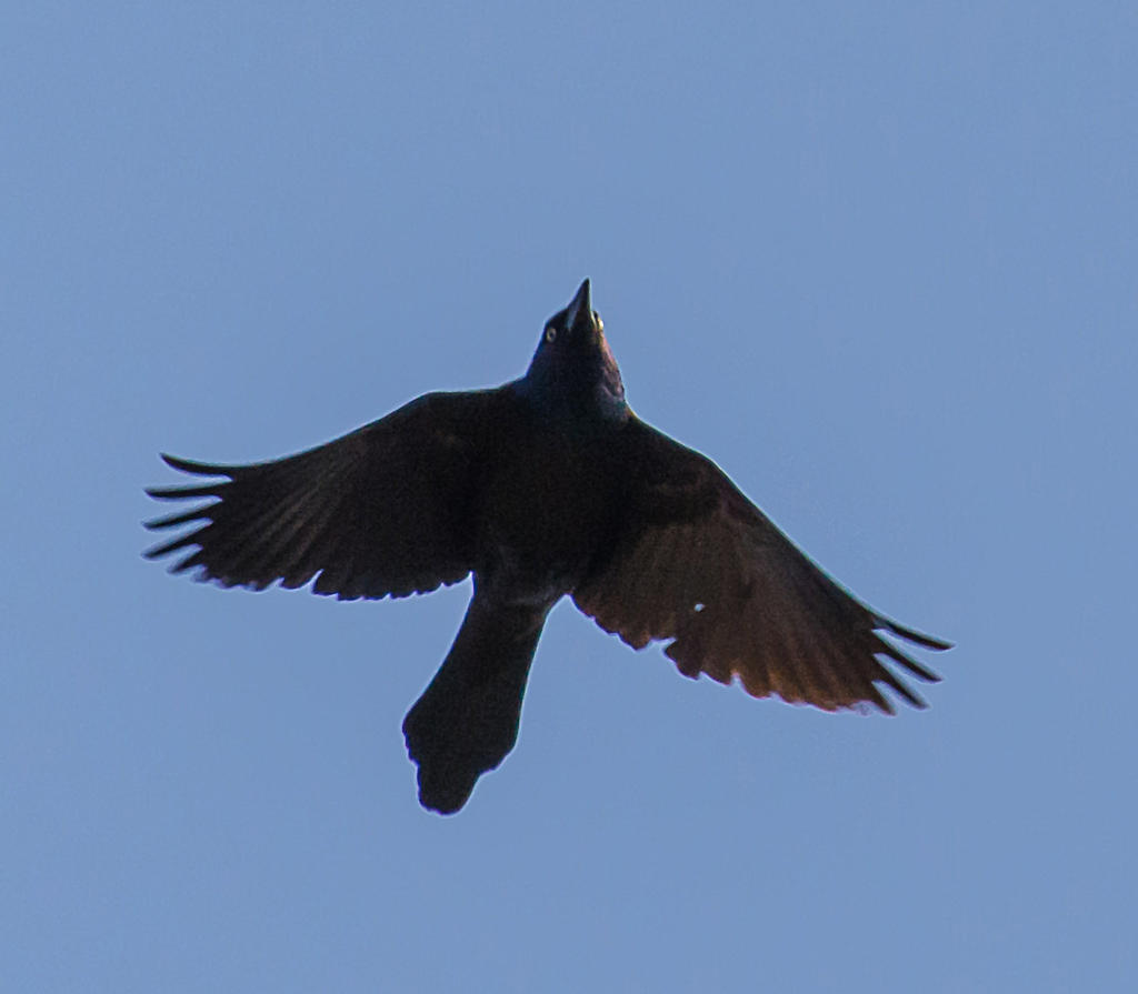 DSC_5490.jpg