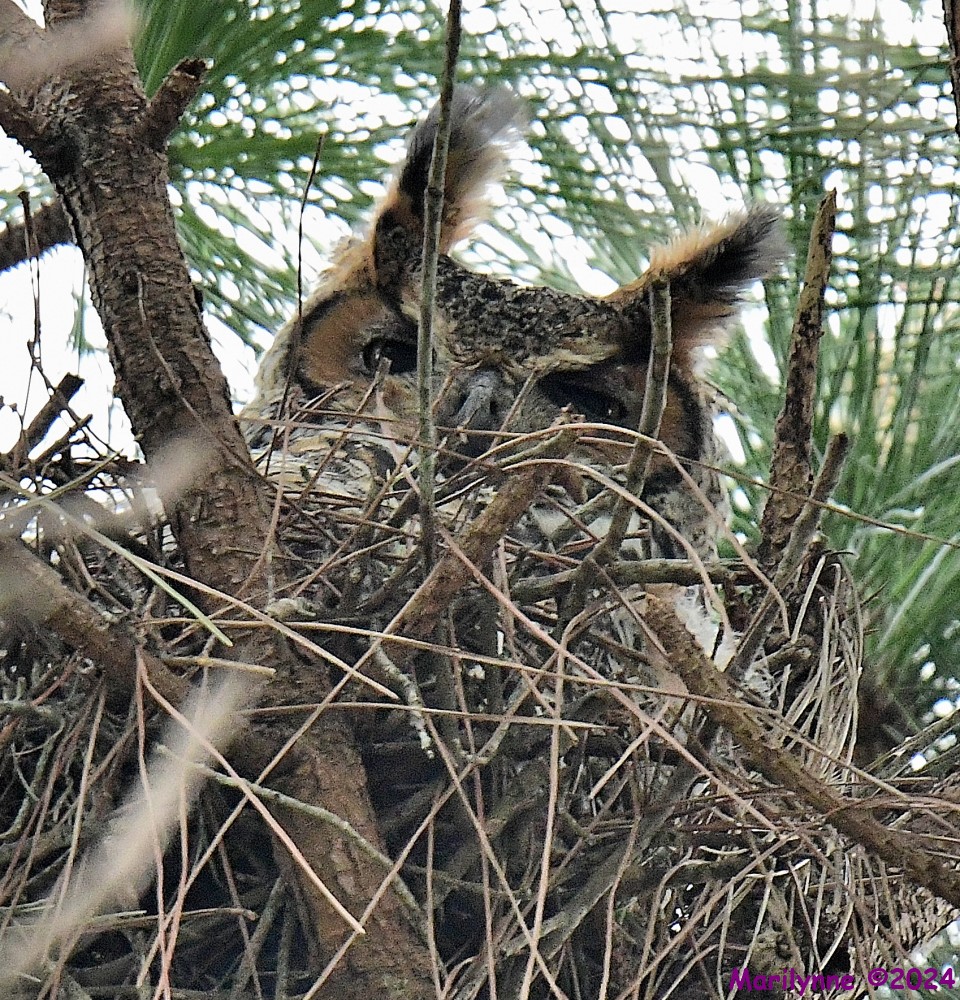 DSC_5490_001.JPG