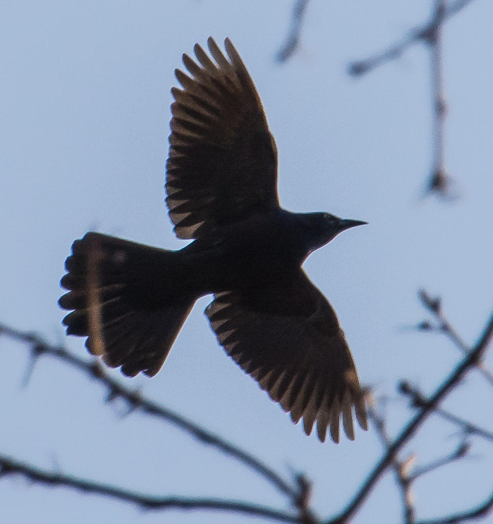 DSC_5492.jpg