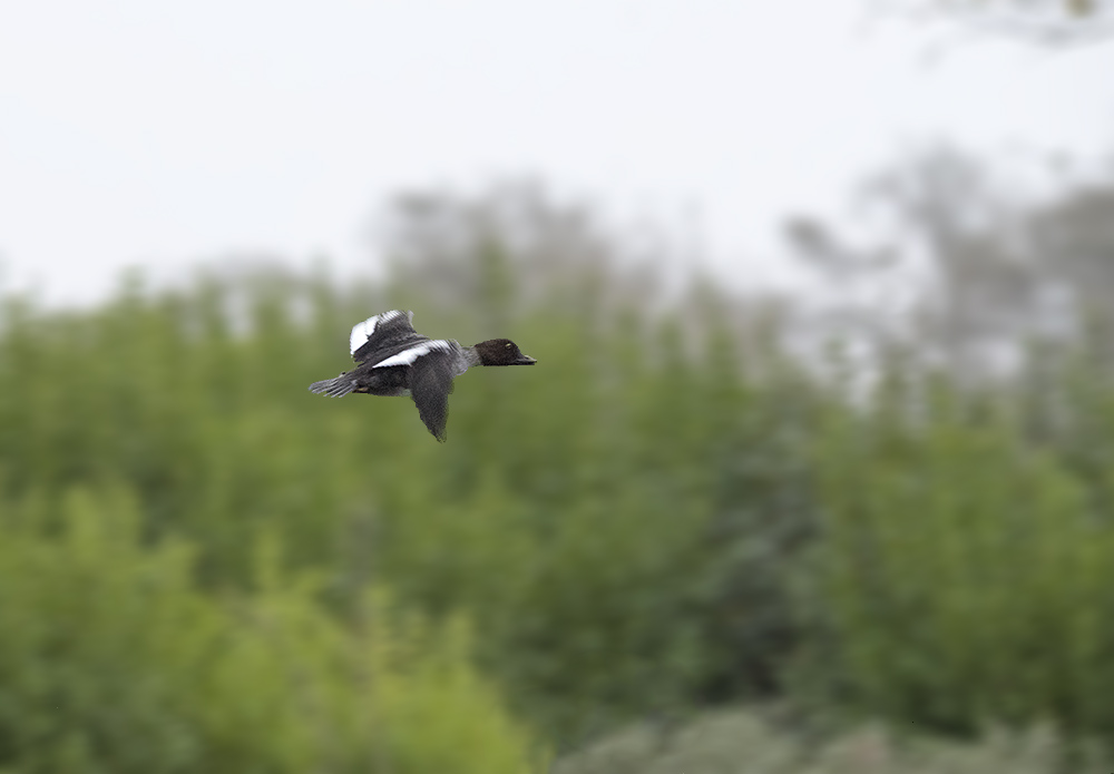 DSC_5493.jpg