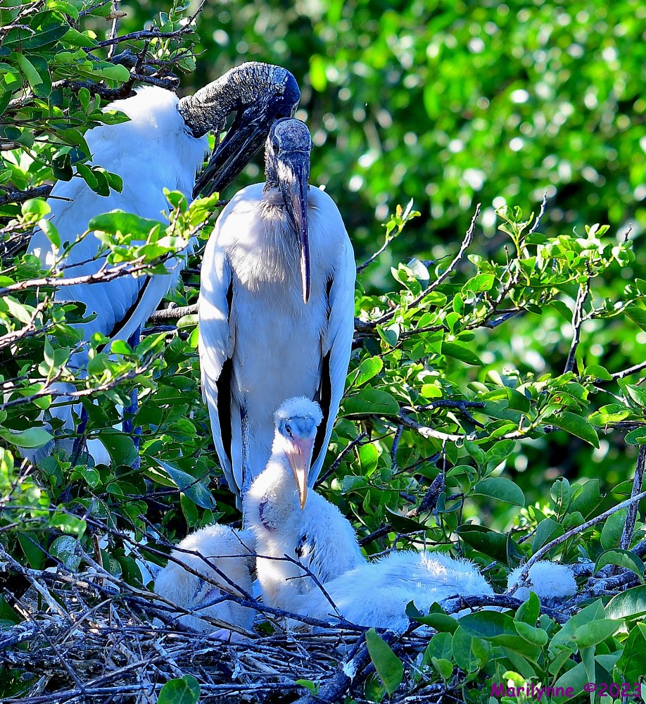 DSC_5494_001.JPG