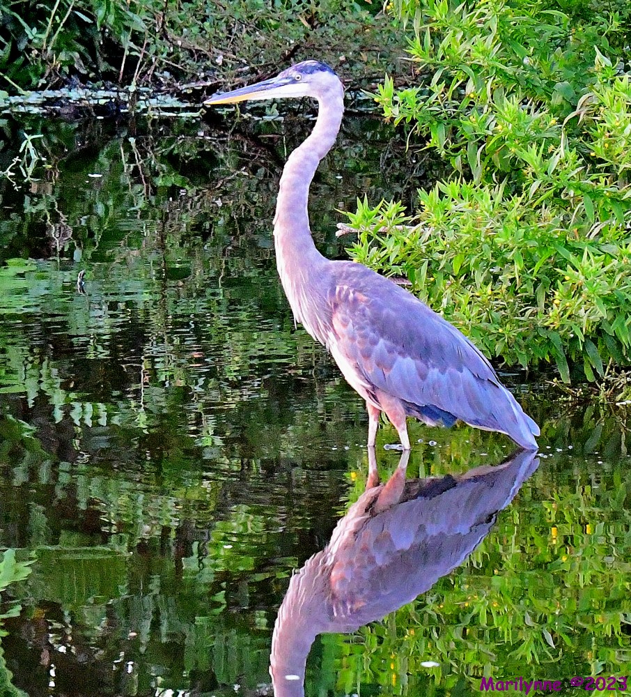 DSC_5494_001.JPG