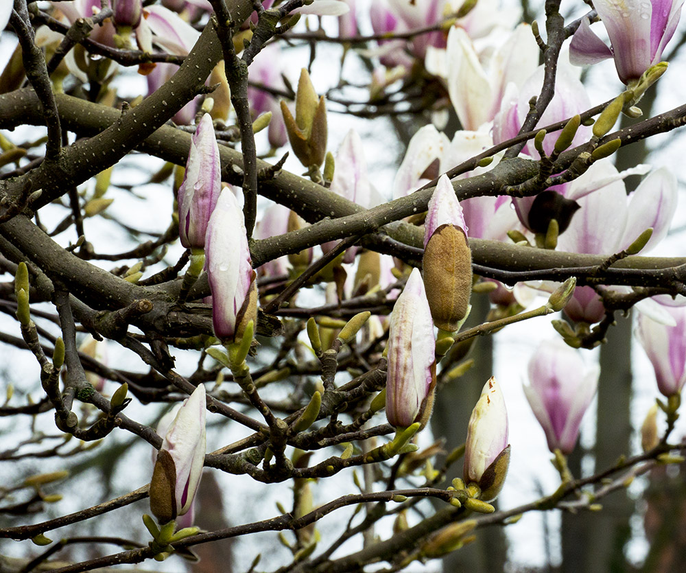 DSC_5495.jpg
