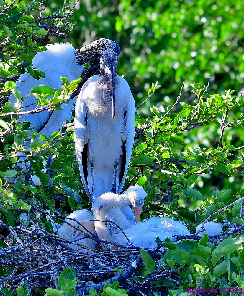 DSC_5497_001.JPG