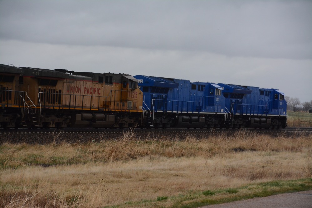 DSC_5497_01.JPG