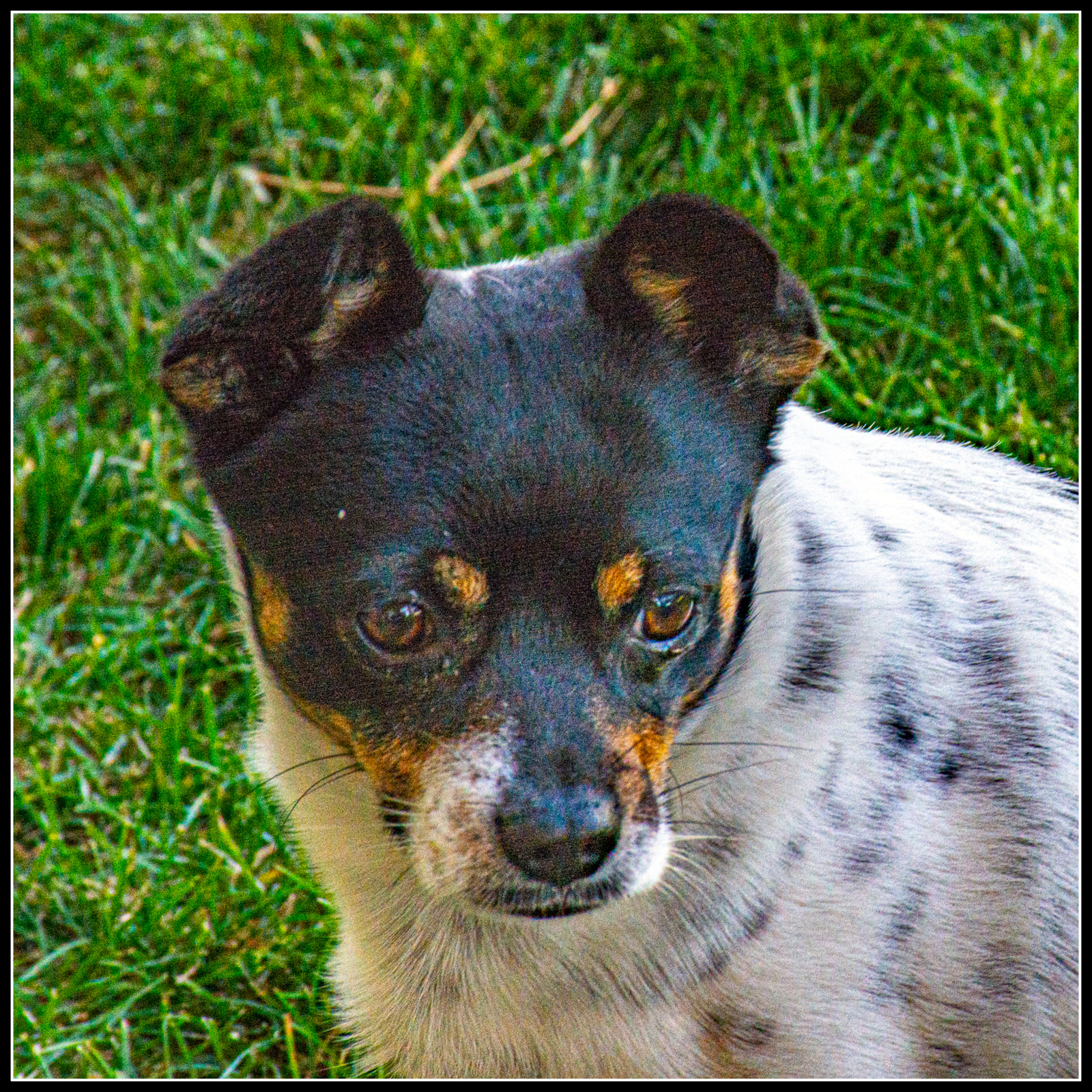 DSC_5499.jpg